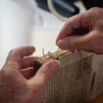 <a class="standard-btn default-btn" href="https://www.scuolemestieridarte.it/scuola/istituto-per-larte-e-il-restauro-palazzo-spinelli-toscana/">Istituto per l’Arte e il Restauro – Palazzo Spinelli</a>